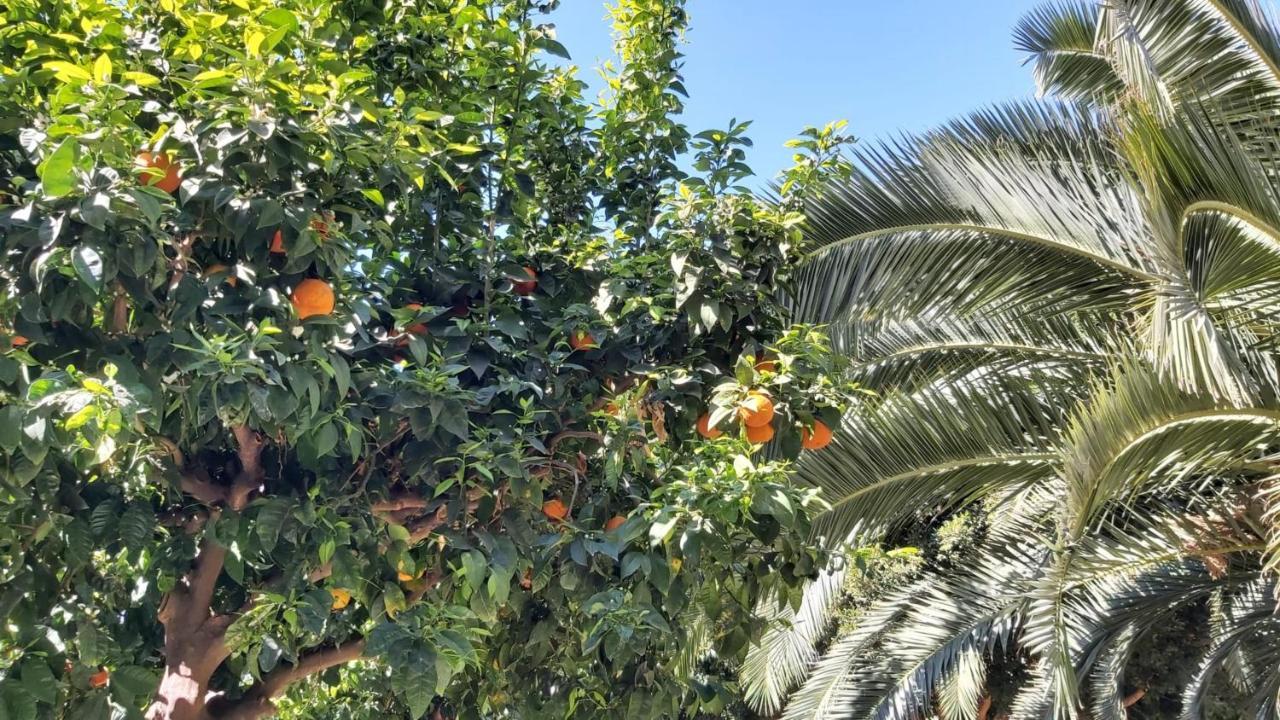 Apartament Del Parque Flats Urban Relax Malaga Zewnętrze zdjęcie